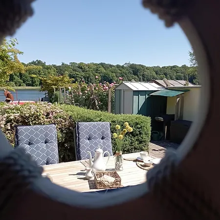 Seestern * Malchow (Mecklenburg-Vorpommern)