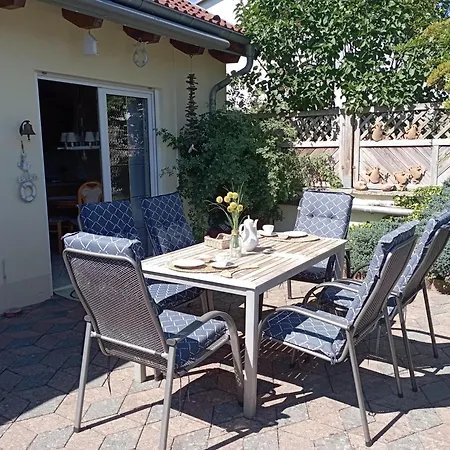 Seestern Malchow (Mecklenburg-Vorpommern)