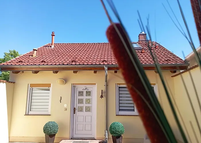 Seestern Holiday home *